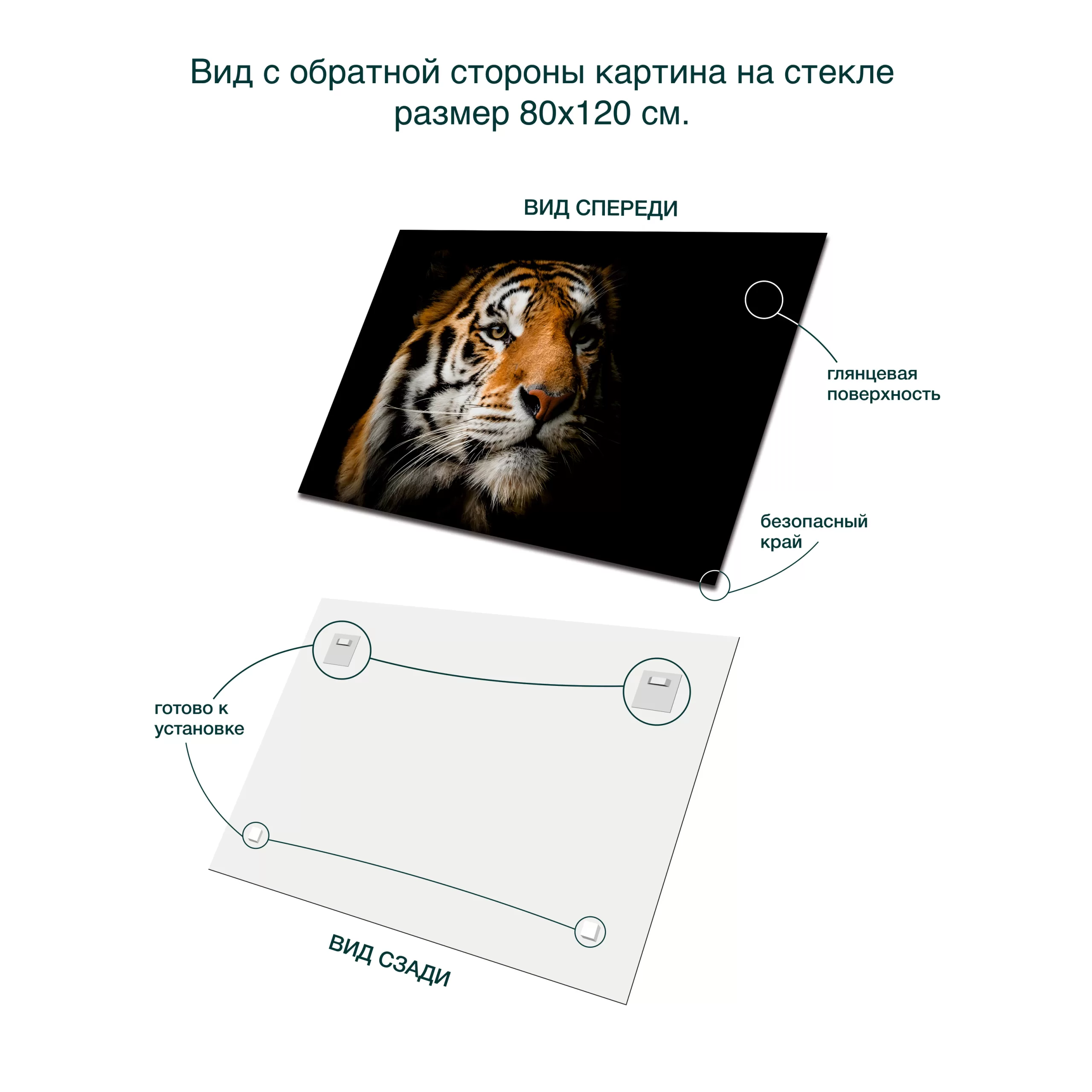 картина на стекле 80х120 см, "Солнечный тигр 2" AN016 вид сзади