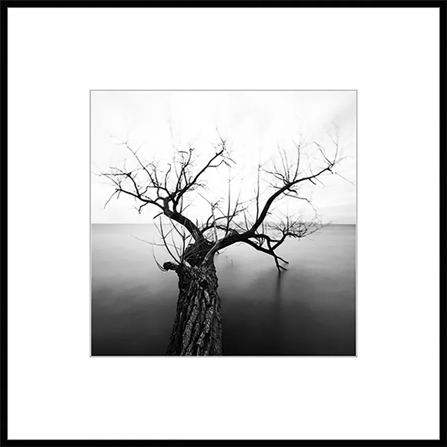 картина на стекле 50х50 см, "Природа 2" BW002