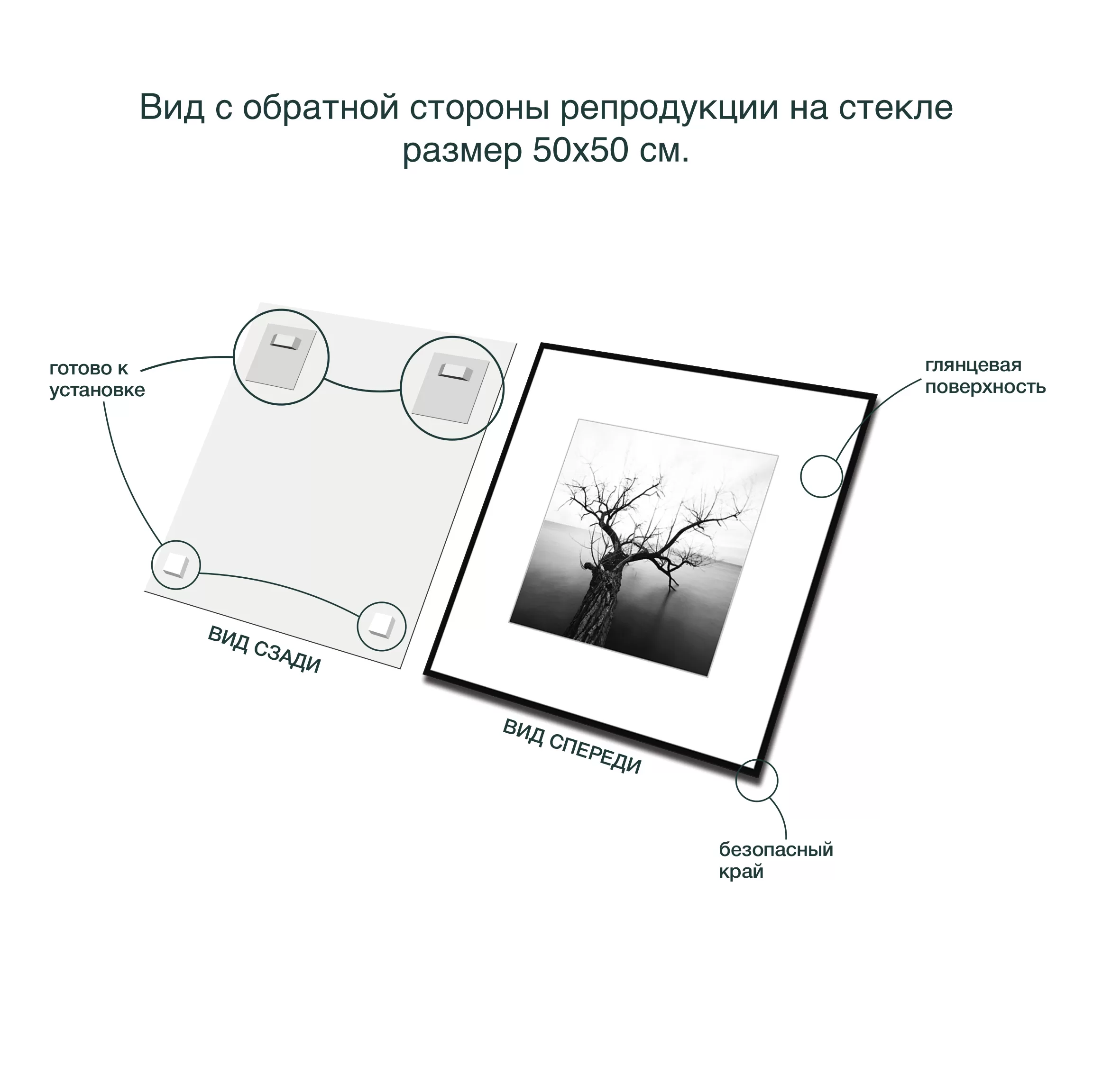картина на стекле 50х50 см, "Природа 2" BW002 вид сзади