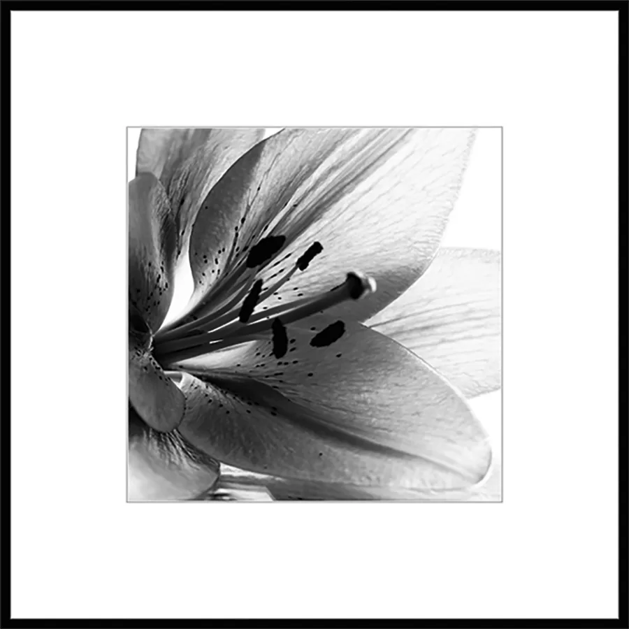 картина на стекле 50х50 см, "Листья 1" BW007