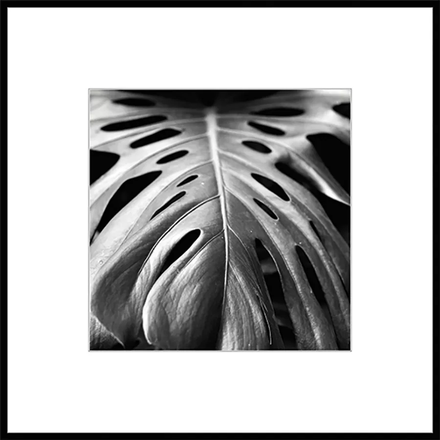 картина на стекле 50х50 см, "Листья 2" BW008