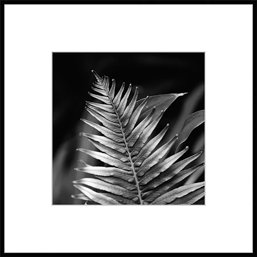 картина на стекле 50х50 см, "Листья 3" BW008